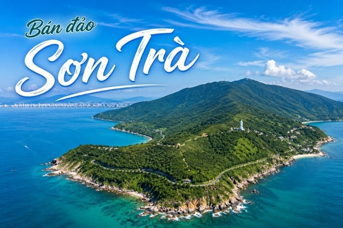 Bán đảo Sơn Trà xanh mướt mắt 