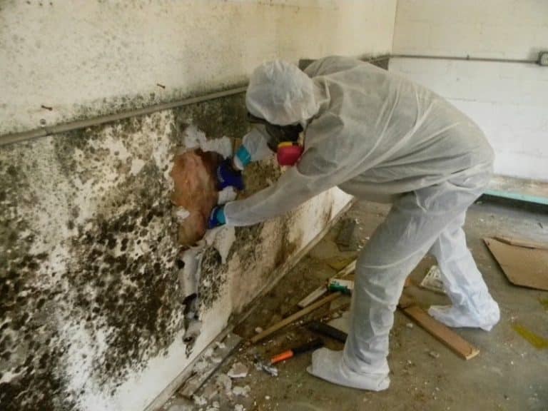 Sử dụng các vật liệu chống ẩm mốc và chống thấm