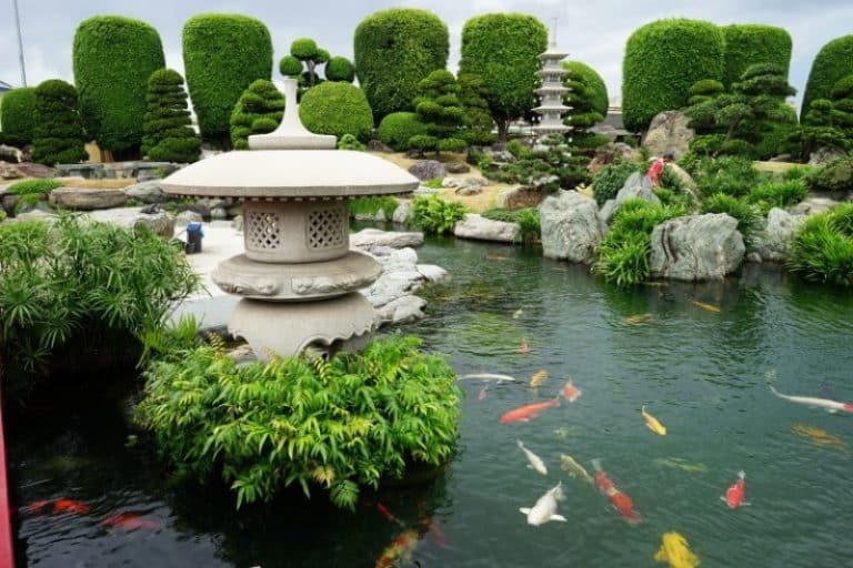 Công viên cá Koi Rin Rin Park