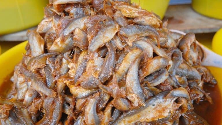 Mắm bò hóc