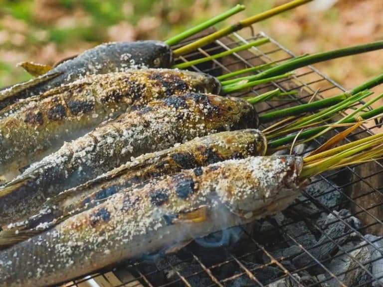 Cá lóc nướng trui - đặc sản Vĩnh Long thơm lừng