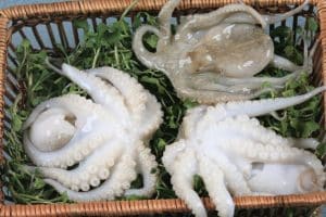 Hải Sản Thùy - mua bạch tuộc sống ở Sài Gòn giá rẻ