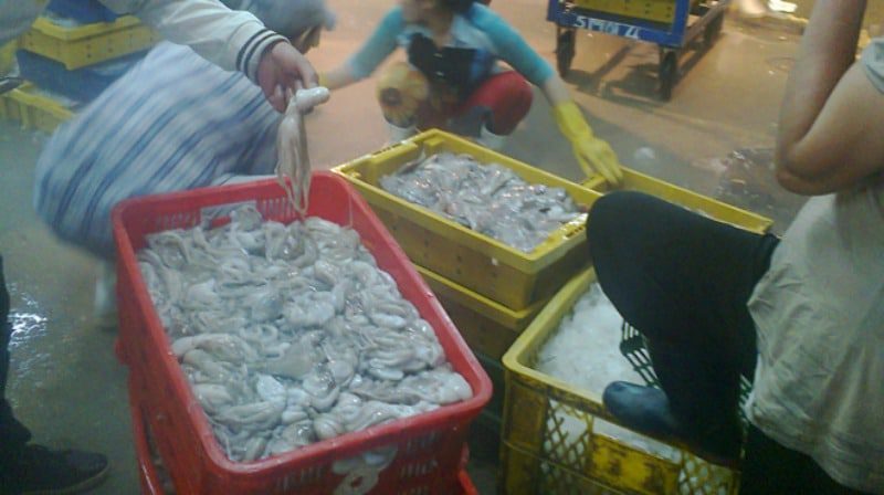 Mua bạch tuộc sống ở Sài Gòn đến chợ đầu mối Bình Điền