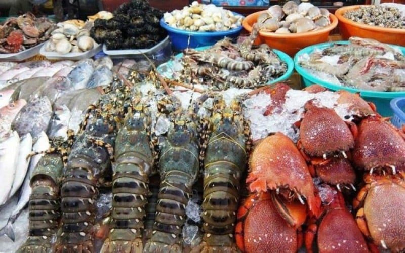 Vựa hải sản sỉ ở Sài Gòn Dũng Phú Quốc