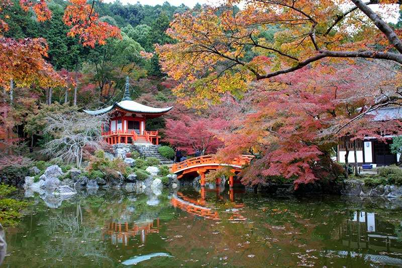 Chùa Daigoji - Kyoto