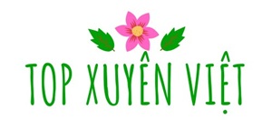 Top Xuyên Việt