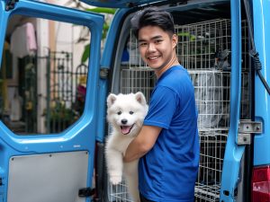 vận chuyển thú cưng